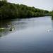 People use Kayaks at Gallup Park on Sunday, May 26. Daniel Brenner I AnnArbor.com